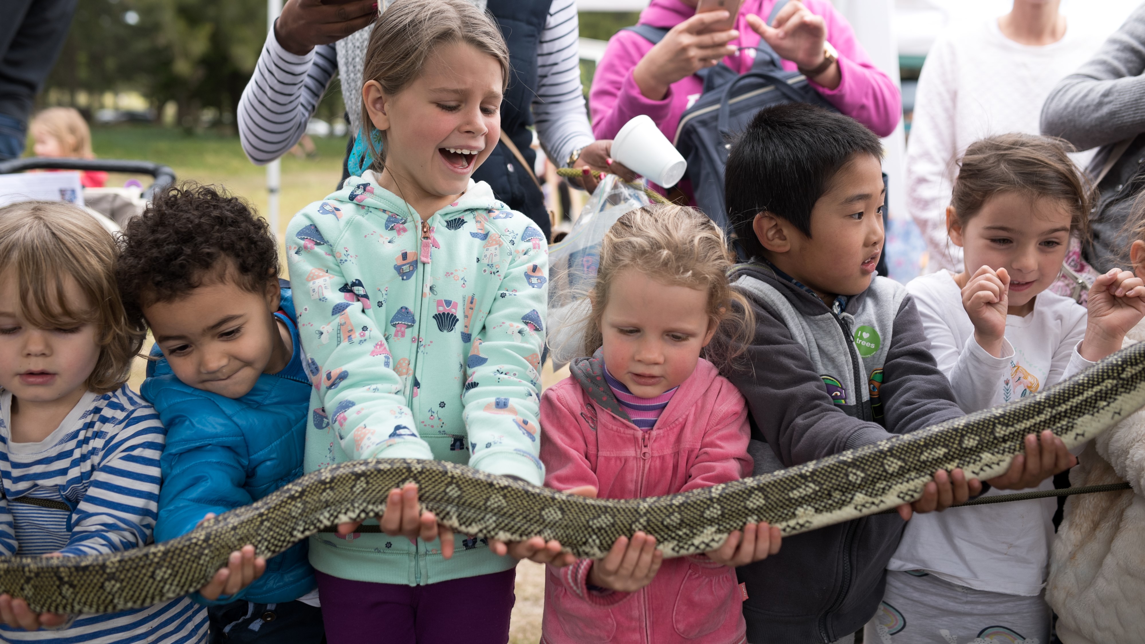 Australian Wildlife Displays - excursions sydney parramatta